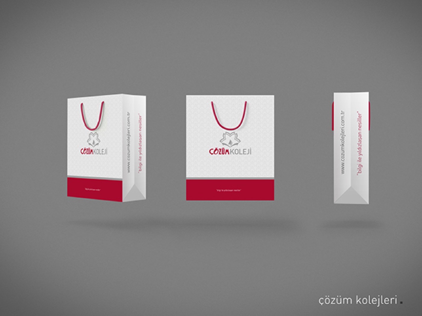 Çözüm Koleji Kurumsal Kimlik — görsel 3